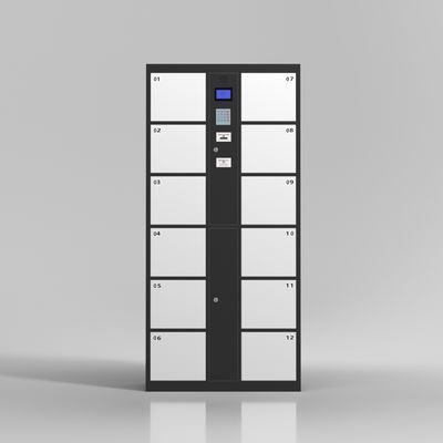 Le porte del supermercato 12 prendono le impronte digitali all'armadio di stoccaggio elettronico di codice a barre della serratura